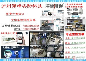 瀘州商務服務中的安全系統監控服務 守護商業安寧的基石